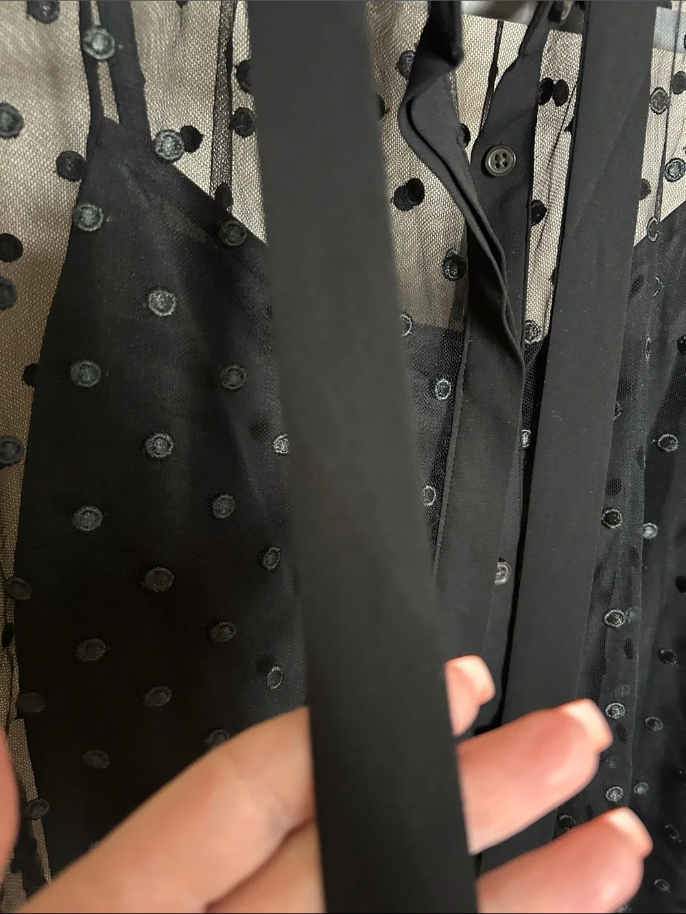 JCrew Sheer Polka Dot Tie-Neck Blouse - Black